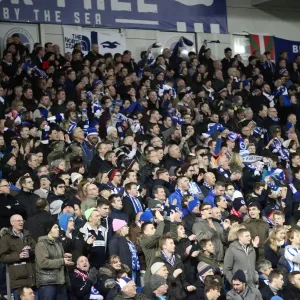 Brighton & Hove Albion vs. Arsenal: FA Cup Clash at the American Express Community Stadium (25 Jan 2015) Brighton & Hove Albion vs. Arsenal: FA Cup Clash at the American Express Community Stadium (25 Jan 2015)