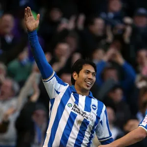 Brighton & Hove Albion vs Arsenal: A Home Battle (2012-13 Season - Arsenal's Visit)