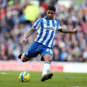Brighton & Hove Albion vs Arsenal: A Home Battle (2012-13 Season - Arsenal's Visit)