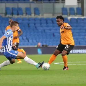 Brighton and Hove Albion vs Barnet: EFL Cup Battle at American Express Community Stadium (22nd August 2017) Brighton and Hove Albion vs Barnet: EFL Cup Battle at American Express Community Stadium (22nd August 2017)