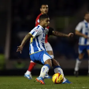 Brighton & Hove Albion vs Barnsley (03-12-2013) - A Home Game from the 2013-14 Season Brighton & Hove Albion vs Barnsley (03-12-2013) - A Home Game from the 2013-14 Season