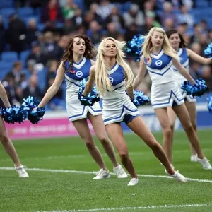 Brighton & Hove Albion vs. Barnsley (2011-12) - Home Game Highlights Brighton & Hove Albion vs. Barnsley (2011-12) - Home Game Highlights