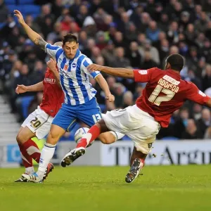 Brighton & Hove Albion vs Barnsley (2011-12): A Successful Home Victory - 06-11-11 Brighton & Hove Albion vs Barnsley (2011-12): A Successful Home Victory - 06-11-11
