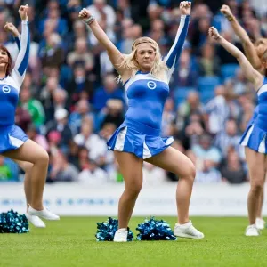 Brighton & Hove Albion vs Barnsley (2012-13 Season): August 25th Home Game Brighton & Hove Albion vs Barnsley (2012-13 Season): August 25th Home Game