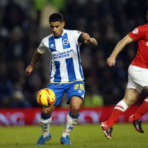 Brighton & Hove Albion vs Barnsley: 3-1 Dec 2013 (Home Game, 2013-14 Season) Brighton & Hove Albion vs Barnsley: 3-1 Dec 2013 (Home Game, 2013-14 Season)