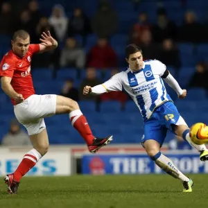 Brighton & Hove Albion vs Barnsley: 3-1 (Dec 2013) - Home Game, 2013-14 Season Brighton & Hove Albion vs Barnsley: 3-1 (Dec 2013) - Home Game, 2013-14 Season