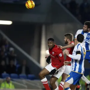 Brighton & Hove Albion vs Barnsley: 3-1 (Home Game, 2013-14 Season - December 3, 2013) Brighton & Hove Albion vs Barnsley: 3-1 (Home Game, 2013-14 Season - December 3, 2013)