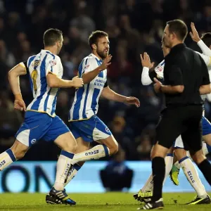 Brighton & Hove Albion vs Barnsley: A 3-1 Home Victory (December 3, 2013) Brighton & Hove Albion vs Barnsley: A 3-1 Home Victory (December 3, 2013)