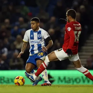 Brighton & Hove Albion vs Barnsley: Home Game, 2013-14 Season (03-12-2013) Brighton & Hove Albion vs Barnsley: Home Game, 2013-14 Season (03-12-2013)