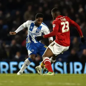 Brighton & Hove Albion vs Barnsley: Home Game - December 3, 2013 Brighton & Hove Albion vs Barnsley: Home Game - December 3, 2013