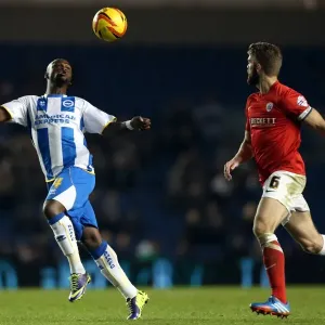 Brighton & Hove Albion vs Barnsley: Home Game - December 3, 2013 Brighton & Hove Albion vs Barnsley: Home Game - December 3, 2013