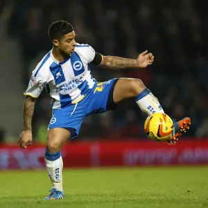 Brighton & Hove Albion vs Barnsley: Home Game - December 3, 2013 Brighton & Hove Albion vs Barnsley: Home Game - December 3, 2013