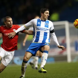 Brighton & Hove Albion vs Barnsley: Home Game (December 3, 2013) Brighton & Hove Albion vs Barnsley: Home Game (December 3, 2013)