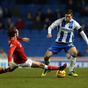 Brighton & Hove Albion vs Barnsley: Home Game - December 3, 2013 Brighton & Hove Albion vs Barnsley: Home Game - December 3, 2013