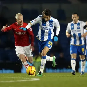 Brighton & Hove Albion vs Barnsley: Home Game - December 3, 2013 Brighton & Hove Albion vs Barnsley: Home Game - December 3, 2013