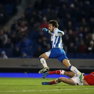 Brighton & Hove Albion vs Barnsley: Home Game - December 3, 2013 Brighton & Hove Albion vs Barnsley: Home Game - December 3, 2013