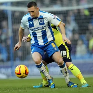 Brighton & Hove Albion vs. Birmingham City: 11-01-2014 - Home Game, Season 2013-14 Brighton & Hove Albion vs. Birmingham City: 11-01-2014 - Home Game, Season 2013-14