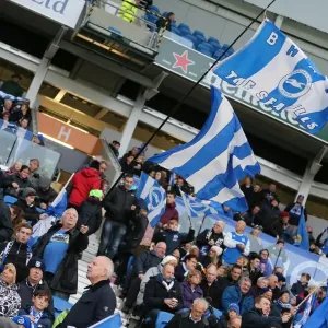 Brighton and Hove Albion vs Birmingham City: Championship Showdown at American Express Community Stadium (November 28, 2015) Brighton and Hove Albion vs Birmingham City: Championship Showdown at American Express Community Stadium (November 28, 2015)