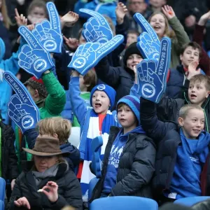 Brighton and Hove Albion vs Birmingham City: Sky Bet Championship Showdown at American Express Community Stadium (November 28, 2015) Brighton and Hove Albion vs Birmingham City: Sky Bet Championship Showdown at American Express Community Stadium (November 28, 2015)
