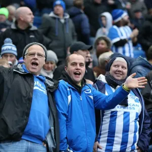 Brighton and Hove Albion vs Birmingham City: Sky Bet Championship Showdown at American Express Community Stadium (Nov 2015) Brighton and Hove Albion vs Birmingham City: Sky Bet Championship Showdown at American Express Community Stadium (Nov 2015)