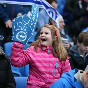 Brighton & Hove Albion vs Birmingham City: Sky Bet Championship Showdown at American Express Community Stadium (November 28, 2015) Brighton & Hove Albion vs Birmingham City: Sky Bet Championship Showdown at American Express Community Stadium (November 28, 2015)