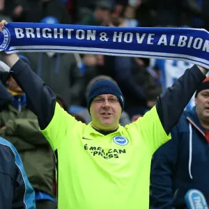 Brighton and Hove Albion vs Birmingham City: Sky Bet Championship Showdown at American Express Community Stadium (November 28, 2015) Brighton and Hove Albion vs Birmingham City: Sky Bet Championship Showdown at American Express Community Stadium (November 28, 2015)