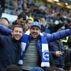 Brighton and Hove Albion vs Birmingham City: Sky Bet Championship Showdown at American Express Community Stadium (November 28, 2015) Brighton and Hove Albion vs Birmingham City: Sky Bet Championship Showdown at American Express Community Stadium (November 28, 2015)