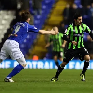 Brighton & Hove Albion vs. Birmingham City: 19-01-2013 - Away Game, Season 2012-13