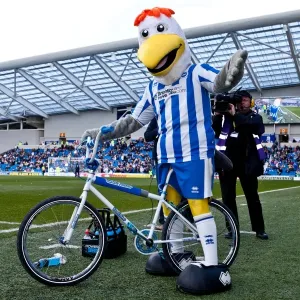 Brighton & Hove Albion vs. Birmingham City (2011-12) - Home Game Highlights, April 21, 2012 Brighton & Hove Albion vs. Birmingham City (2011-12) - Home Game Highlights, April 21, 2012