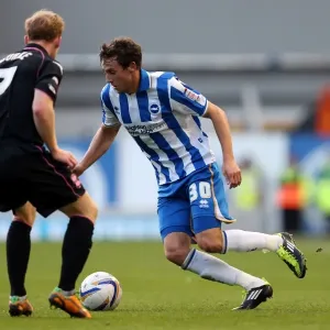 Brighton & Hove Albion vs. Birmingham City Print - 29 September 2012