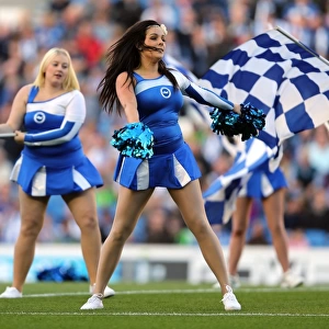 Brighton & Hove Albion vs Birmingham City: 2012-13 Home Game Highlights