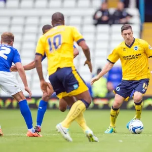 Brighton & Hove Albion vs. Birmingham City: Away Game (2013-14 Season) Brighton & Hove Albion vs. Birmingham City: Away Game (2013-14 Season)