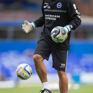 Brighton & Hove Albion vs. Birmingham City: Away Game (August 17, 2013) Brighton & Hove Albion vs. Birmingham City: Away Game (August 17, 2013)