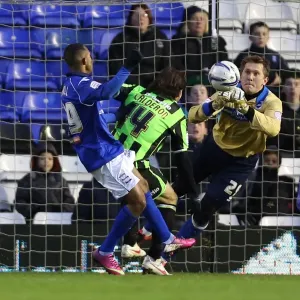 Brighton & Hove Albion vs. Birmingham City: Away Game - January 19, 2013 (Season 2012-13)