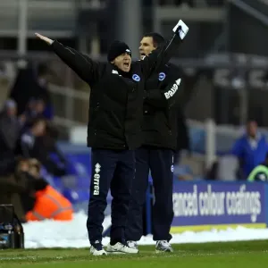 Brighton & Hove Albion vs. Birmingham City (Away) - A Look Back at the 2012-13 Season's Game