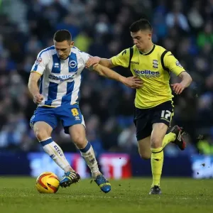 Brighton & Hove Albion vs. Birmingham City: A Historic 11-1 Win - 11-01-2014 Brighton & Hove Albion vs. Birmingham City: A Historic 11-1 Win - 11-01-2014