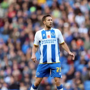 Brighton & Hove Albion vs. Blackburn Rovers (09-11-2013): A Home Game from the 2013-14 Season