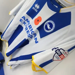 Brighton & Hove Albion vs. Blackburn Rovers (2013-14): A Home Game