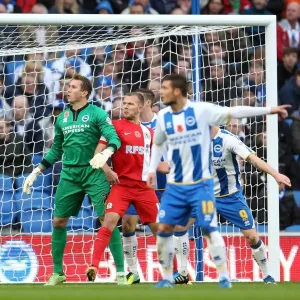 Brighton & Hove Albion vs. Blackburn Rovers (2013-14): A Home Game