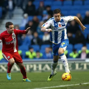 Brighton & Hove Albion vs. Blackburn Rovers (2013-14) - Home Game Highlights