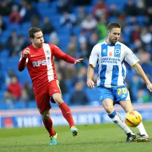 Brighton & Hove Albion vs. Blackburn Rovers (2013-14 Season): A Home Game