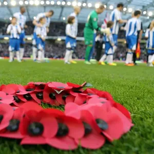 Brighton & Hove Albion vs. Blackburn Rovers (2013-14 Season) - A Home Game