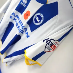 Brighton & Hove Albion vs. Blackburn Rovers (2013-14 Season): A Home Game