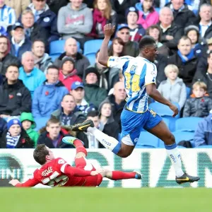 Brighton & Hove Albion vs. Blackburn Rovers (2013-14 Season) - A Home Game