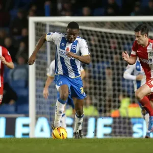 Brighton & Hove Albion vs. Blackburn Rovers (2013-14 Season) - A Home Game