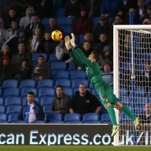 Brighton & Hove Albion vs. Blackburn Rovers (2013-14 Season) - Home Game