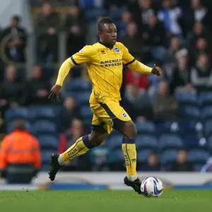 Brighton & Hove Albion vs. Blackburn Rovers (Away): 2013-14 Season
