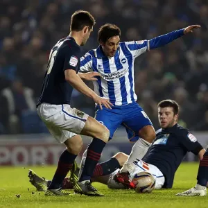 Brighton & Hove Albion vs. Blackburn Rovers: A Historic 2012-13 Home Game Brighton & Hove Albion vs. Blackburn Rovers: A Historic 2012-13 Home Game