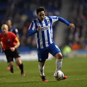 Brighton & Hove Albion vs. Blackburn Rovers: A Historic 2012-13 Home Match Brighton & Hove Albion vs. Blackburn Rovers: A Historic 2012-13 Home Match