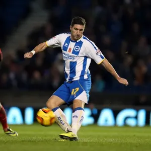 Brighton & Hove Albion vs. Blackburn Rovers (Home Game - 09-11-2013)